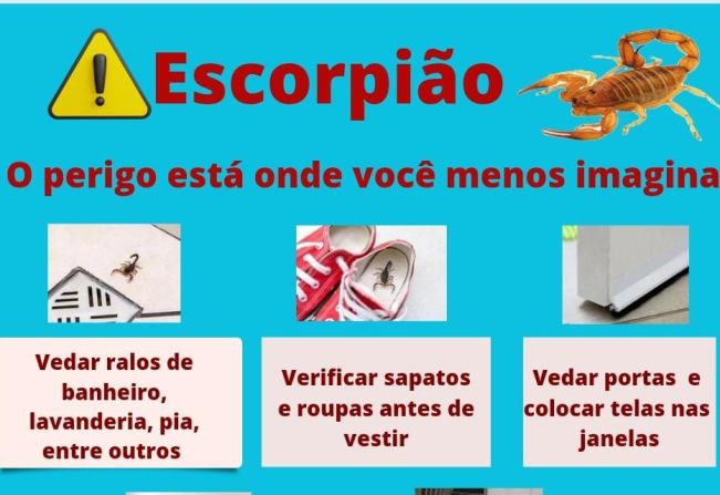Vigilância em Saúde orienta população a redobrar cuidados com escorpiões