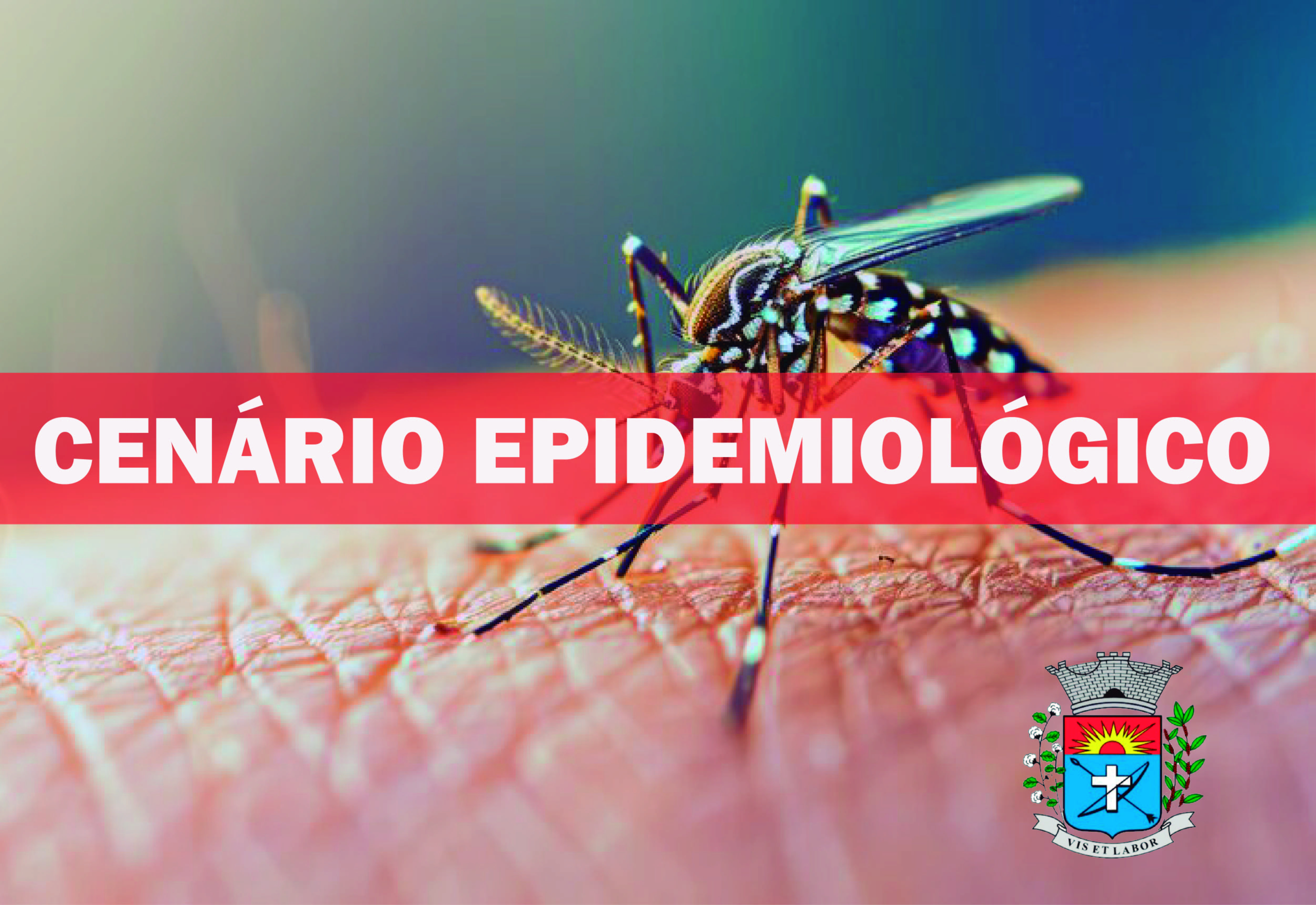 Saúde apresenta nesta sexta-feira, o cenário epidemiológico de dengue 