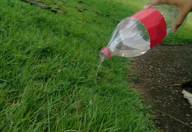 Município orienta moradores sobre os cuidados com os quintais após as chuvas 