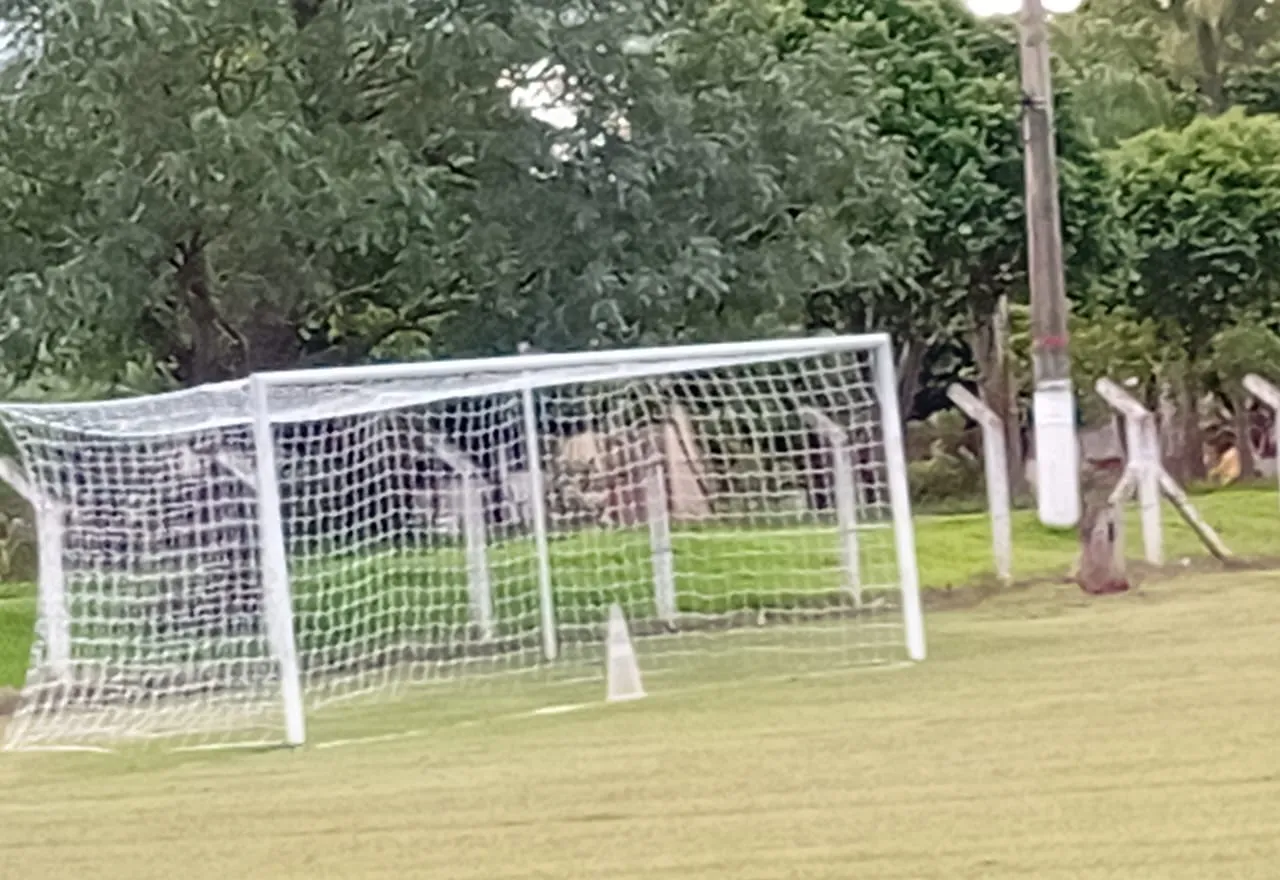 Manutenção no Campo Municipal de Roseta garante melhores condições para campeonatos e eventos