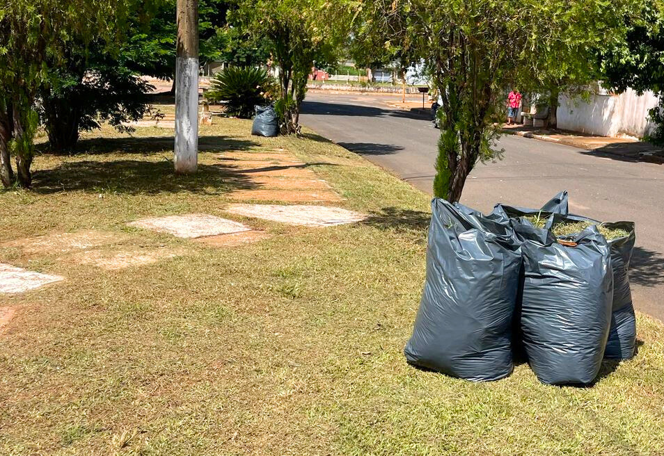 'Zé do Pito', Praça do Lapa e 'canteiro do Plimec' recebem manutenção da Prefeitura de Paraguaçu