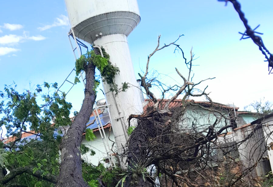 Temporal derruba árvore gigante sobre caixa d’água que abastece a Casa Lar e o Lar dos Idosos