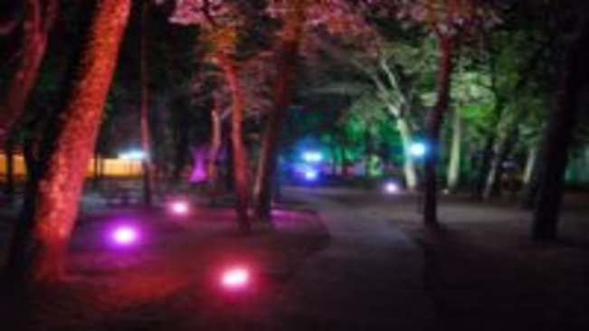 Prefeitura instala nova iluminação no Parque dos Pioneiros “José Lino de Paiva Filho”