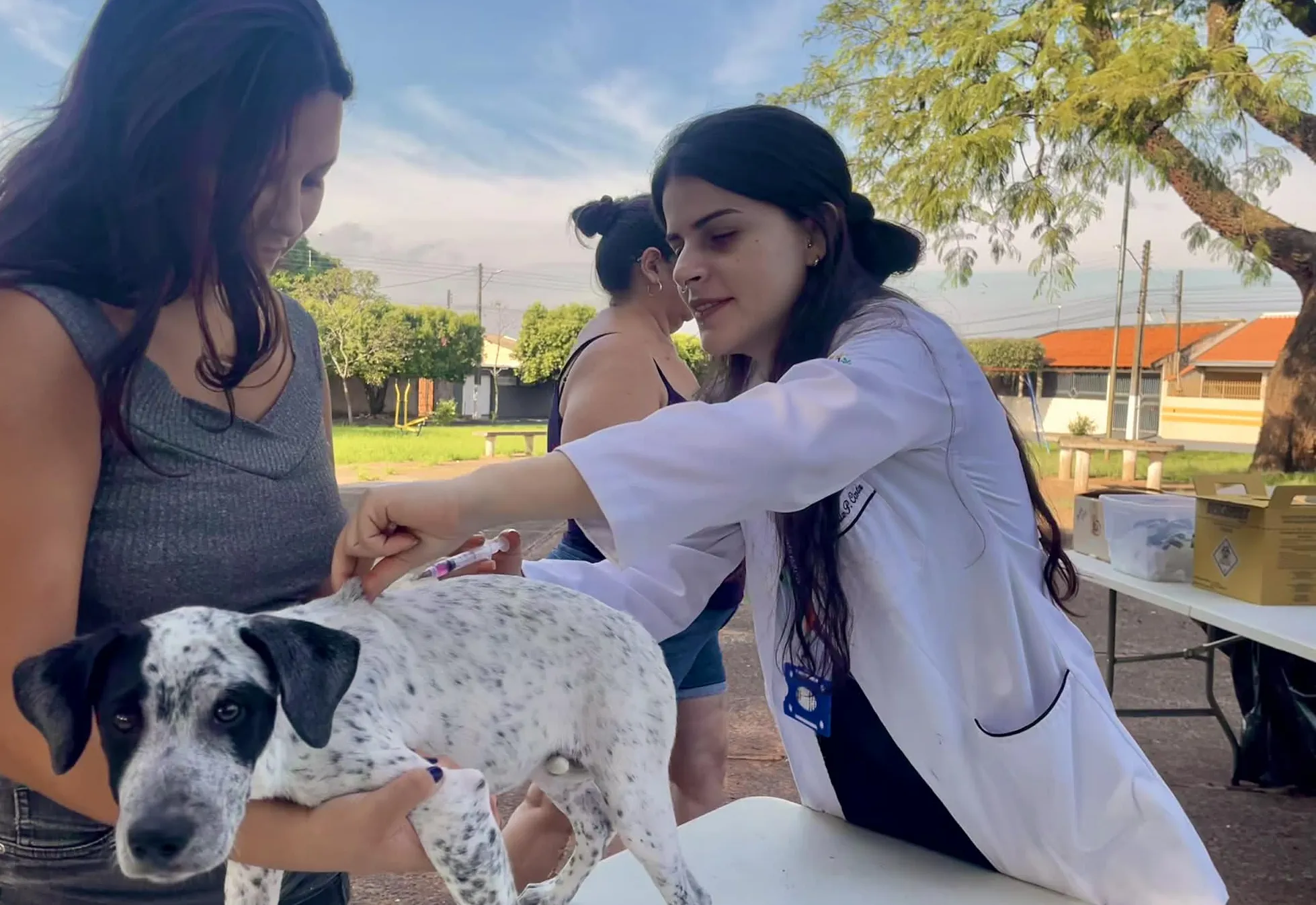 Vacinação contra raiva para cães e gatos foi realizada no Conjunto Habitacional Aldo Paes Leme