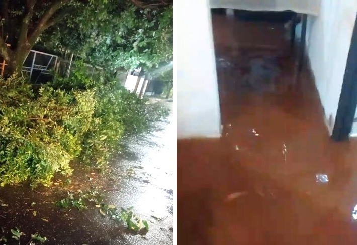 Secretaria de Obras atua com agilidade após temporal e minimiza danos pela cidade