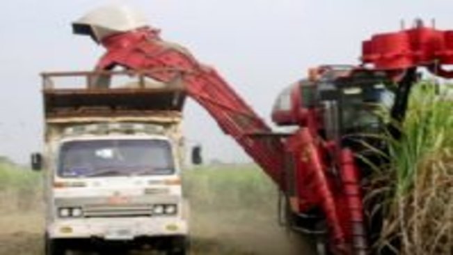 Mecanização da colheita de cana já está instalada em mais de 50% do Estado