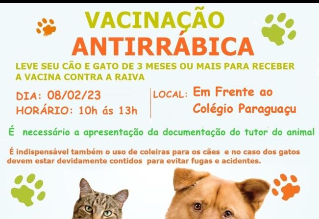 Vacinação anirrábica
