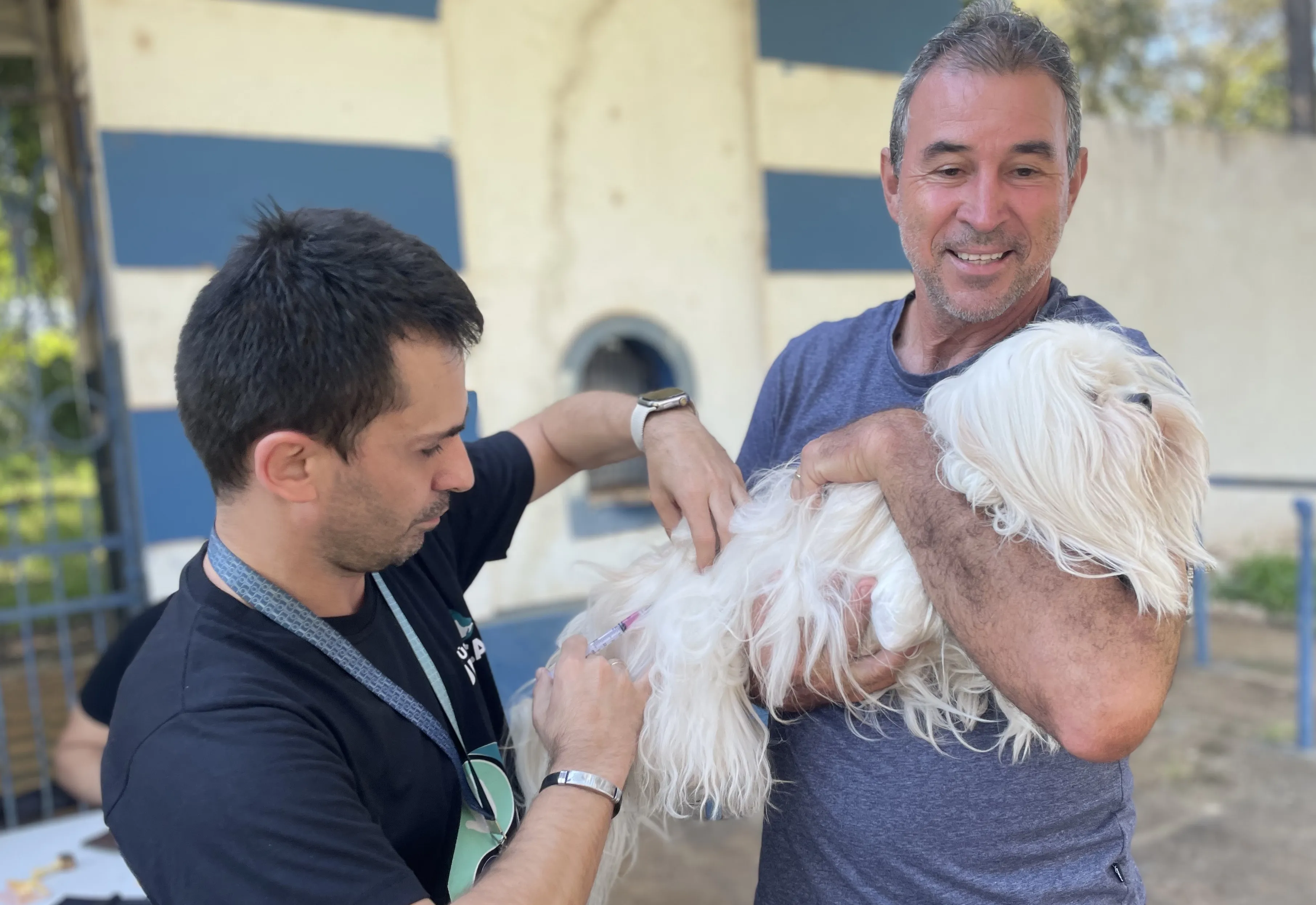 Vacinação contra a raiva para cães e gatos está sendo realizada em frente ao Estádio Municipal