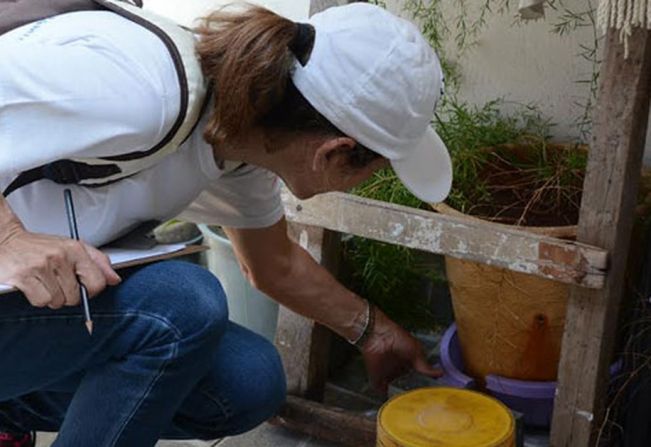 Índice de Breteau coloca Paraguaçu em “alerta” para transmissão de doenças