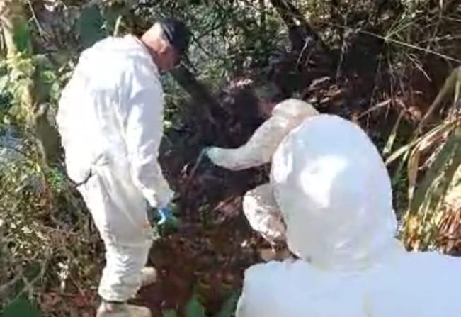 Vigilância em Saúde realiza vistoria em provável área de infecção de febre maculosa em Paraguaçu