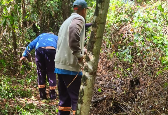 Trilhas Limpas e Natureza Preservada: Centro de Educação Ambiental de Paraguaçu Prioriza a Biodiversidade!