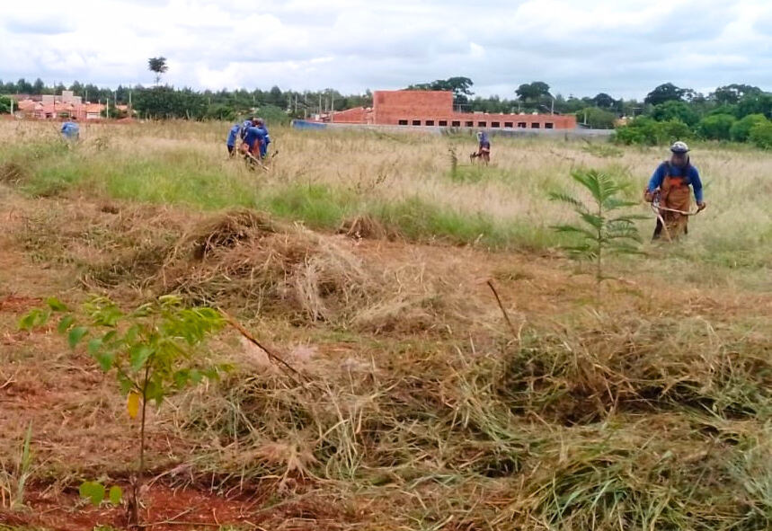 Mutirão de limpeza está sendo realizado no espaço público do Conjunto Lina Leuzzi