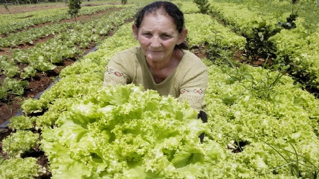 Prefeitura comemora o Dia do Agricultor Familiar neste dia 25 de julho