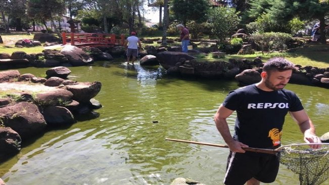 “Mãos a água”; ação de voluntários começa a revitalizar o lago do Jardim das Cerejeiras.