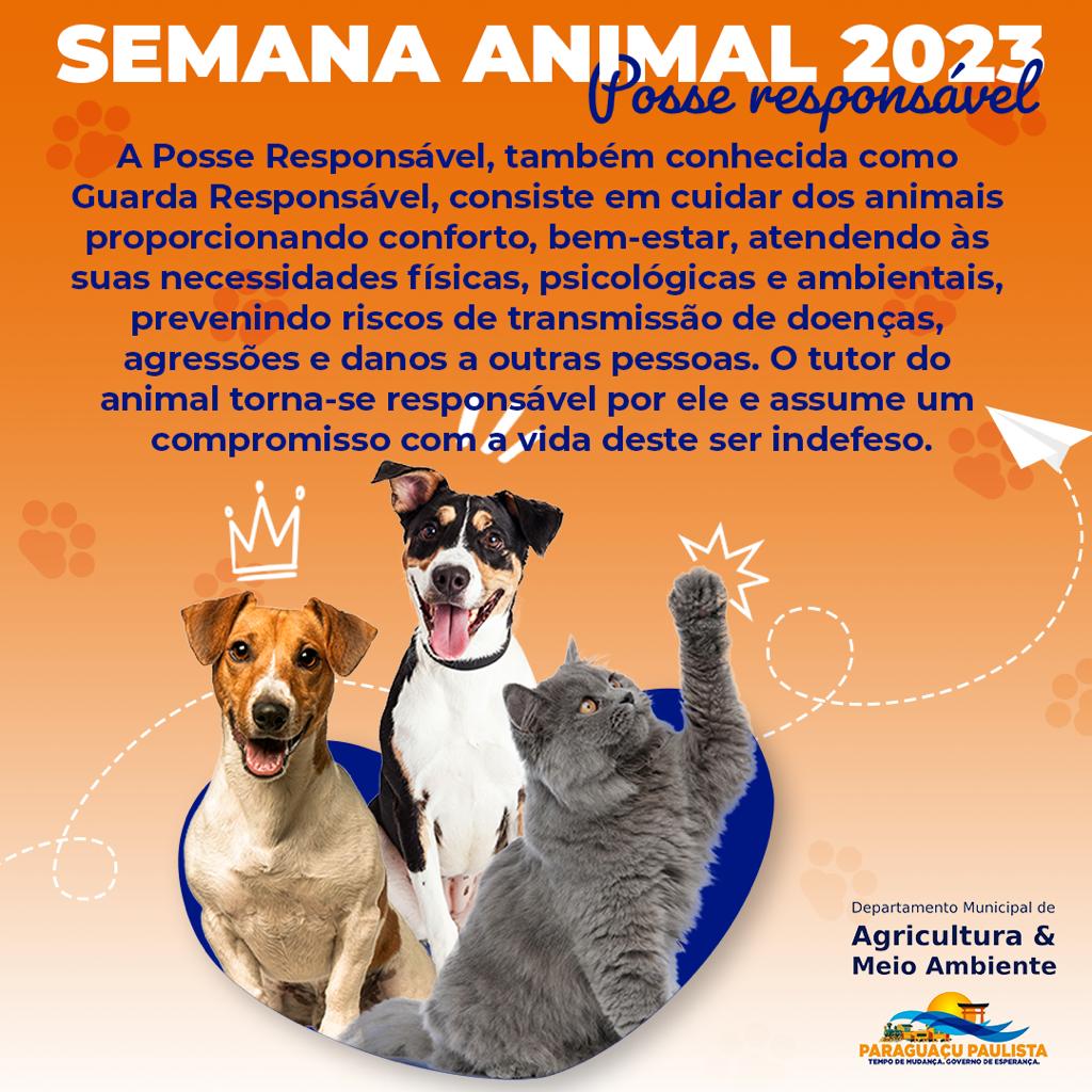 SEMANA ANIMAL – Departamento de Meio Ambiente orienta sobre a posse e  guarda responsável